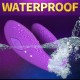Vibrador estimulador dual 