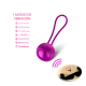 Bolas chinas kegel vibrador FOX BOLA